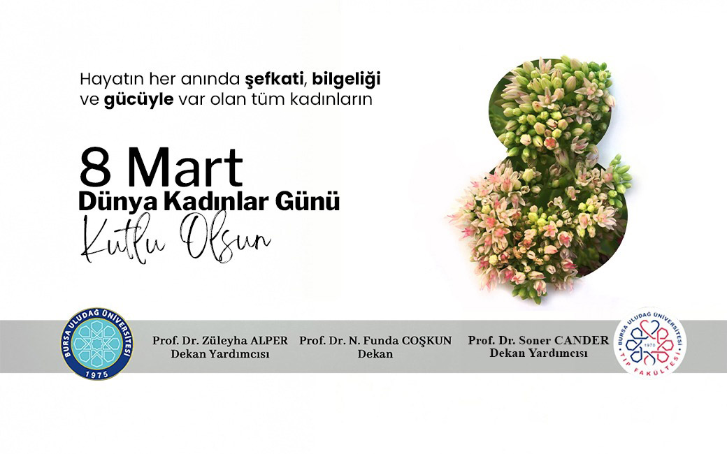  8_Mart_2026